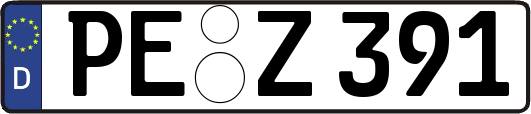 PE-Z391