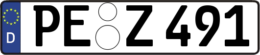 PE-Z491