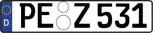 PE-Z531