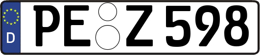 PE-Z598