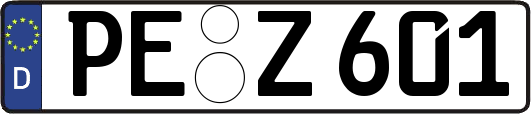 PE-Z601