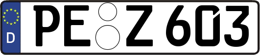PE-Z603