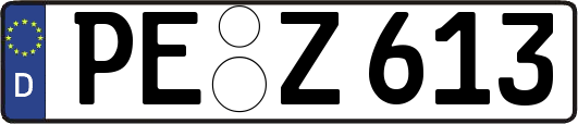 PE-Z613