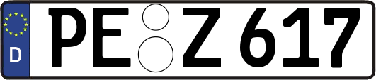 PE-Z617