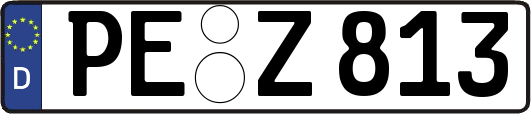 PE-Z813