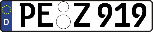 PE-Z919