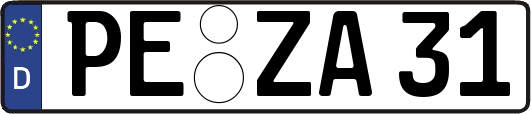 PE-ZA31