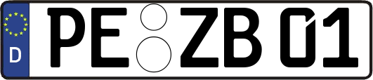 PE-ZB01
