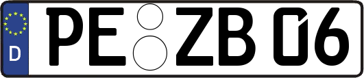 PE-ZB06