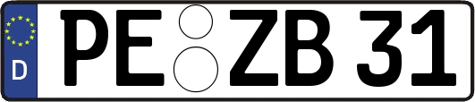 PE-ZB31