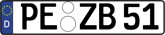 PE-ZB51