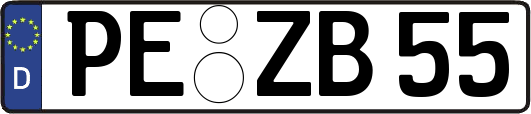 PE-ZB55
