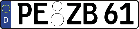 PE-ZB61