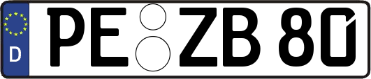 PE-ZB80