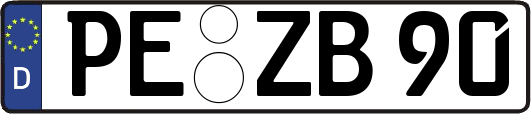 PE-ZB90