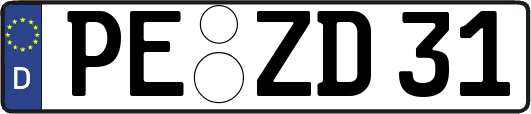 PE-ZD31