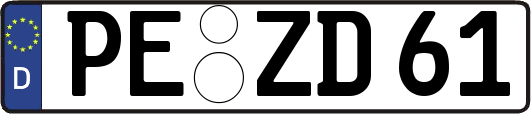 PE-ZD61