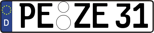 PE-ZE31