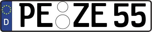 PE-ZE55