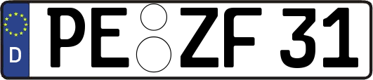 PE-ZF31