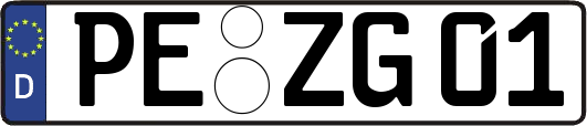 PE-ZG01