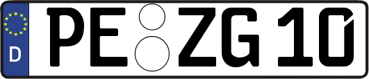 PE-ZG10