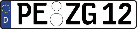PE-ZG12