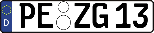 PE-ZG13