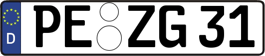 PE-ZG31