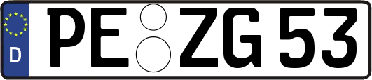 PE-ZG53