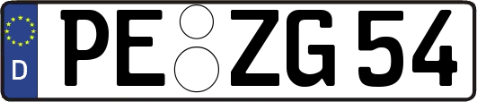 PE-ZG54