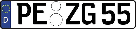 PE-ZG55