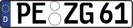 PE-ZG61