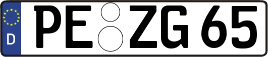 PE-ZG65