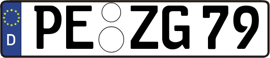 PE-ZG79