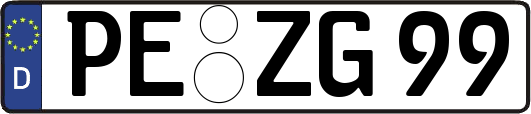 PE-ZG99