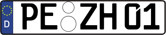 PE-ZH01
