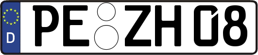 PE-ZH08