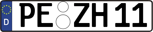 PE-ZH11