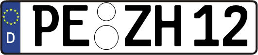 PE-ZH12