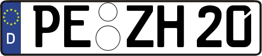 PE-ZH20