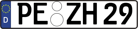 PE-ZH29