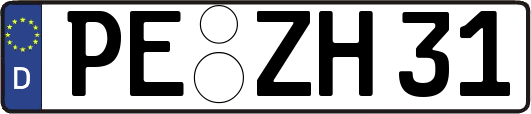 PE-ZH31