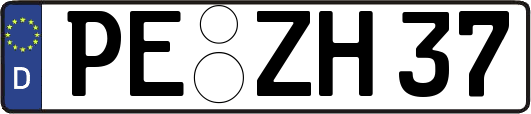 PE-ZH37