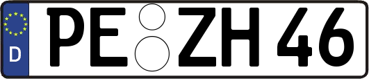 PE-ZH46