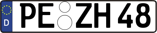 PE-ZH48