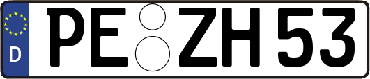 PE-ZH53