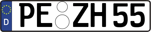 PE-ZH55