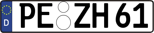 PE-ZH61