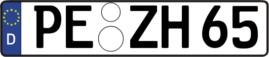 PE-ZH65